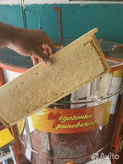 Мед белая акация