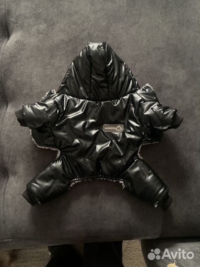 Одежда для собак мелких пород