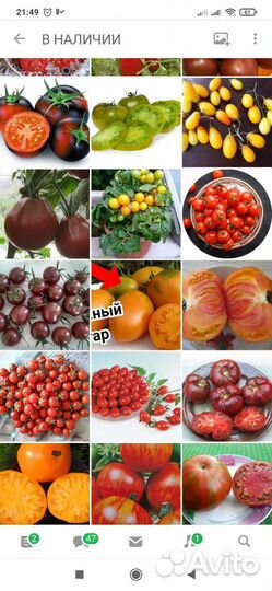 Семена томатов