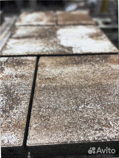 Тротуарная плитка листопад