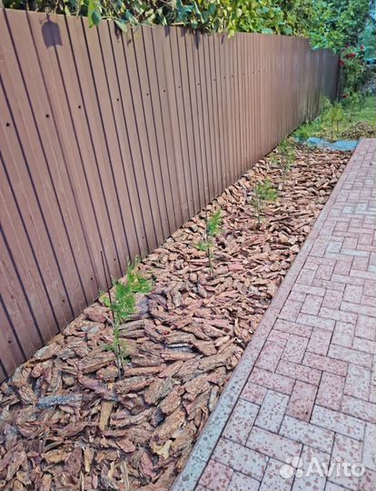 Мульча кора лиственницы