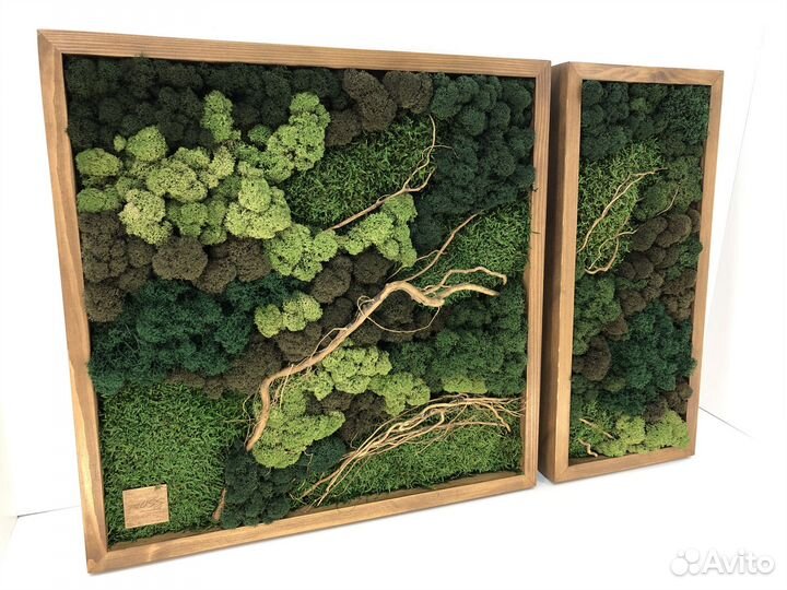 Картина из мха Стабилизированный мох