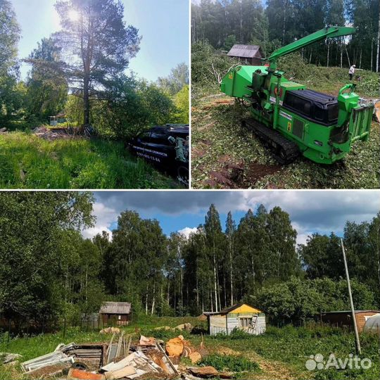 Спил деревьев любой сложности. Расчистка участков