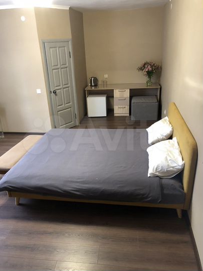 Квартира-студия, 24 м², 2/4 эт.