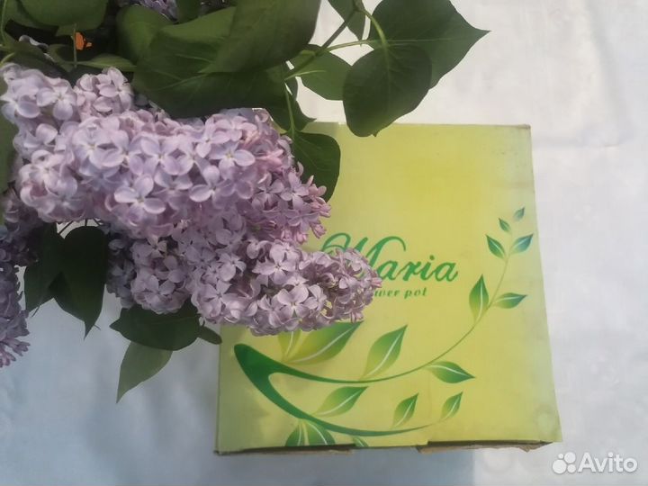 Чашка Кашпо с блюдцем Супер Гигант XL