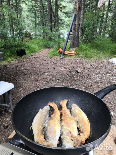 Тур Алтай рыболовный