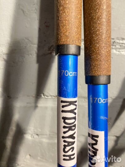 Лыжные палки kv elite