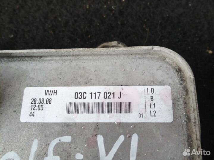 Радиатор масляный Volkswagen Golf 6, 1.4, caxa