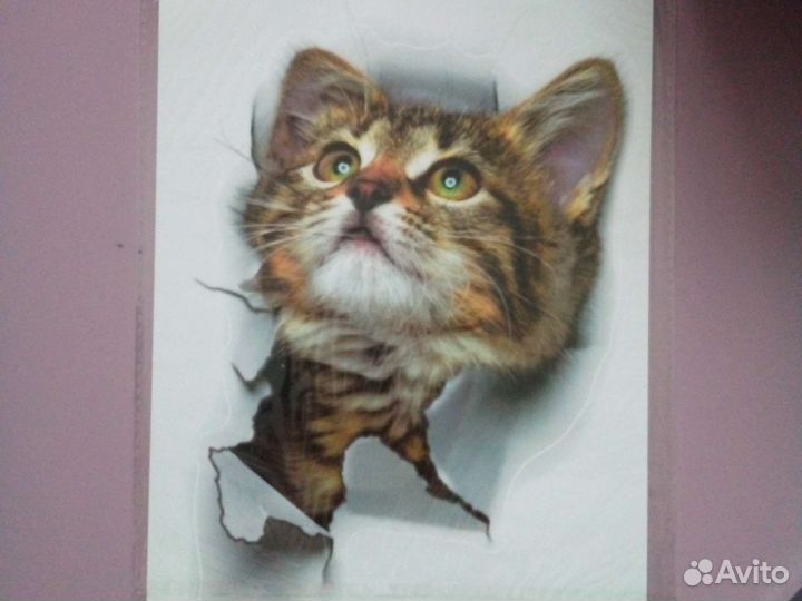 Стикер наклейка Кошки Собаки