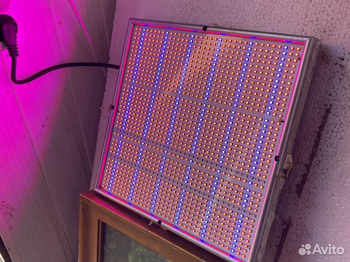 Светодиодная лампа для растений