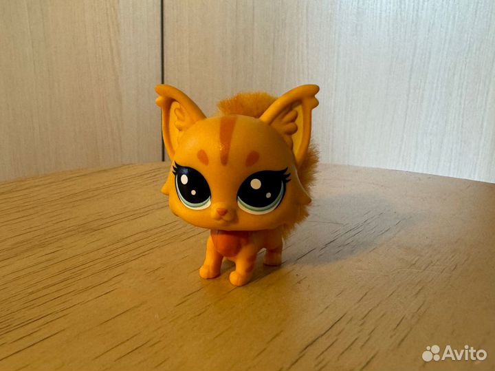 Littlest pet shop lsp мейн кун