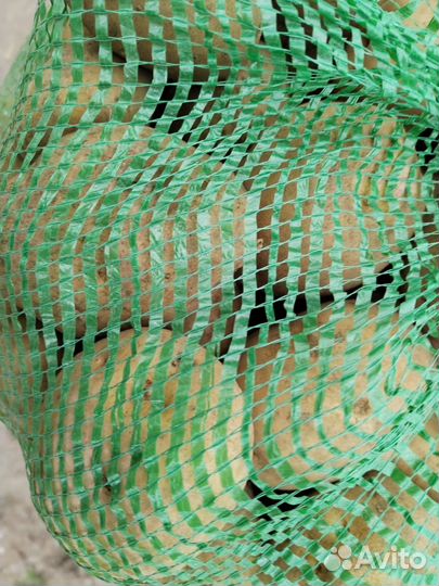 Продам картофель домашний