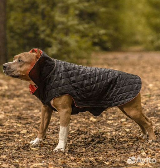 Новая.Куртка-комбинезон для собак.Попона. Двухстор