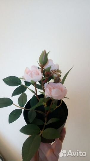 Искусственные цветы Икея