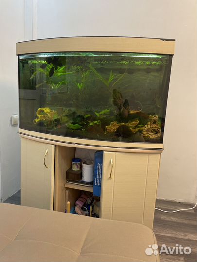 Аквариум