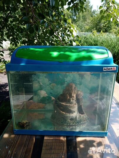 Аквариум
