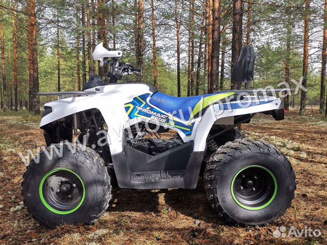 Квадроцикл promax renegade 300