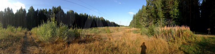 Участок 10 сот. (ИЖС)