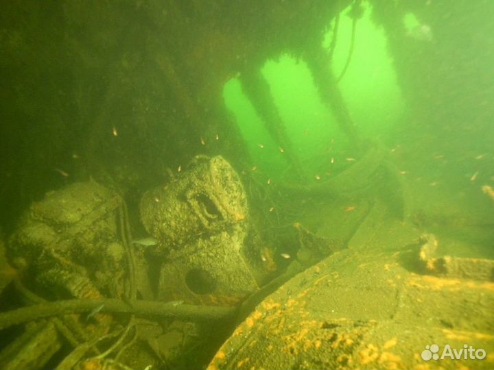 Дайвинг в Балтийском море