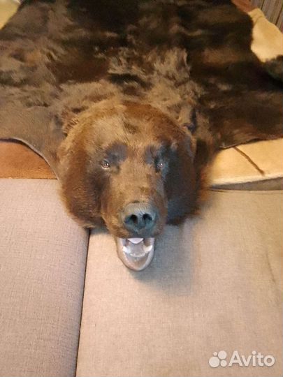 Шкура медведя имитация