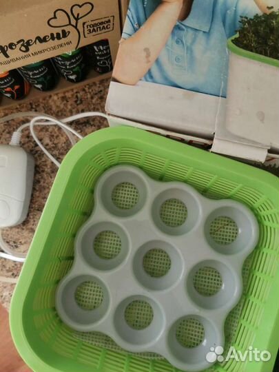 Проращиватель семян