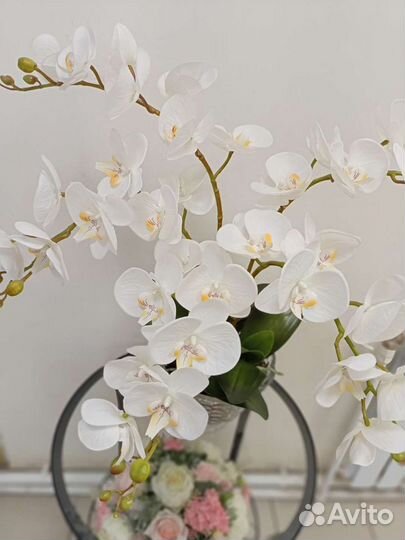 Орхидеи