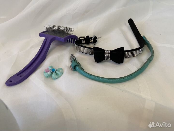 Ошейник для маленькой средней собаки