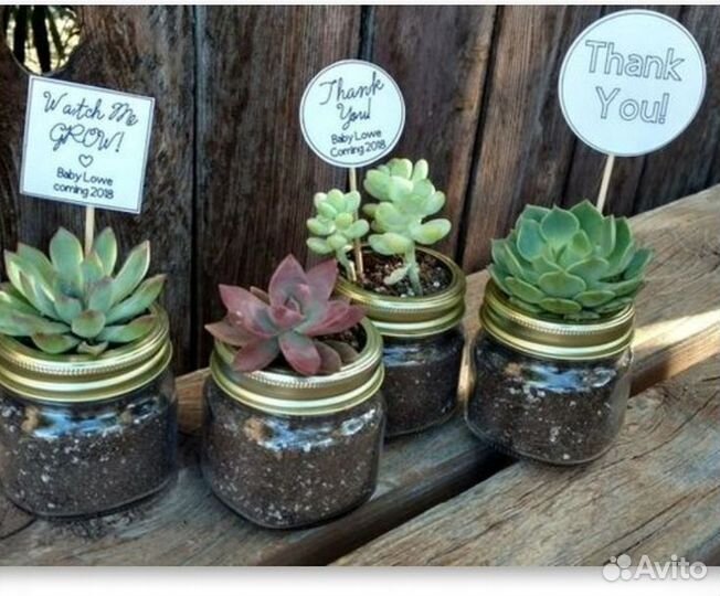 Баночки из под детского питания