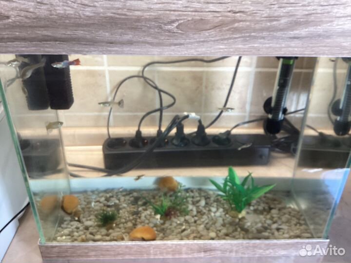 Аквариум
