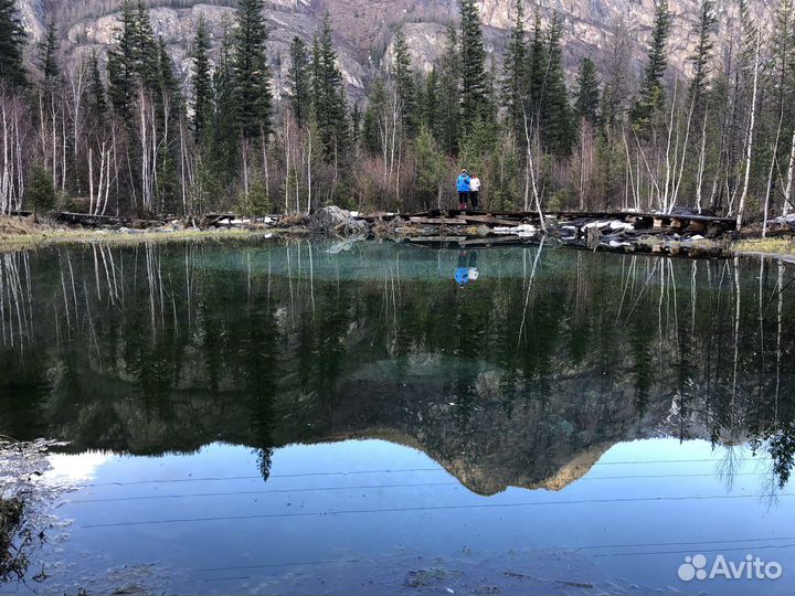 Туры по Алтаю