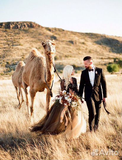 Видеограф / Фотограф