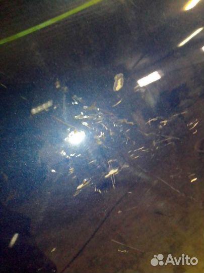 Капот Volkswagen Touareg 2003-2010 г