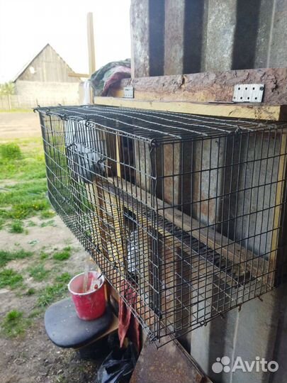 Клетка-Вольер для кролика
