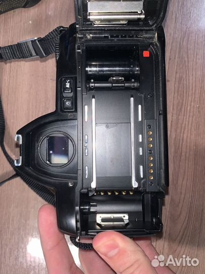 Nikon F-801S + nikkor AF 50 1.8D