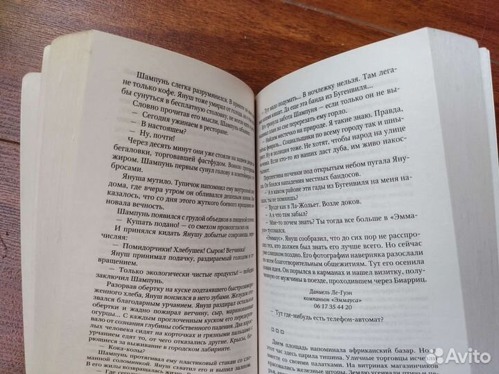 Пассажир. Жан-Кристоф Гранже