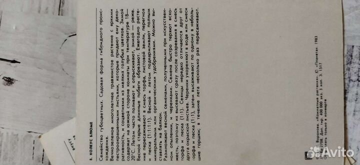 Тюльпаны, книга, открытки о цветах (СССР)