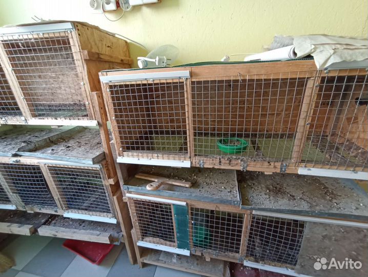 Инкубаторы