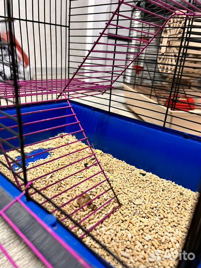 Клетка для грызунов