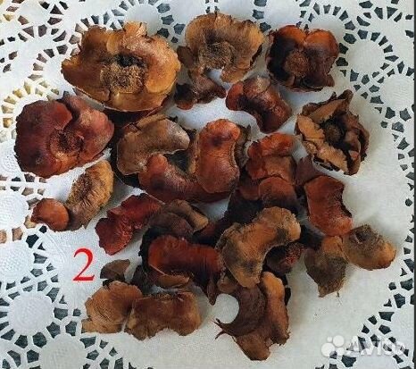 Натуральные сухоцветы