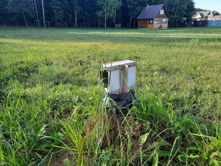 Участок 25 сот. (СНТ, ДНП)