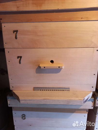 Улей для пчёл