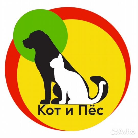 Ассистент ветеринарного врача