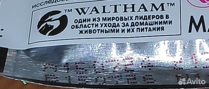 Влажный корм для кошек