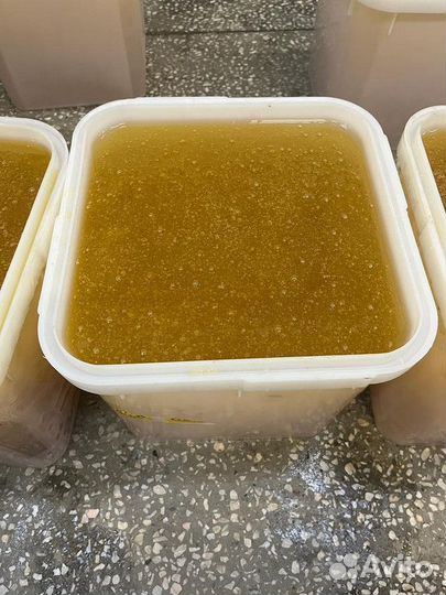 Мед Донник качка 2023 год