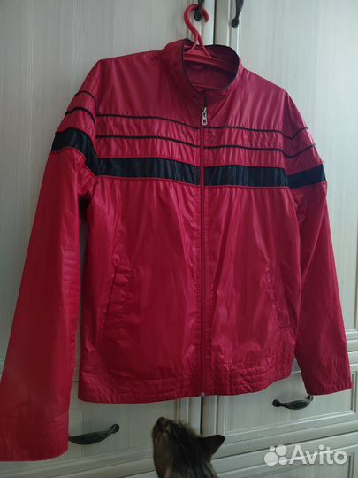 Ветровка мужская 52 54
