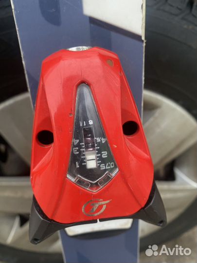 Горные лыжи