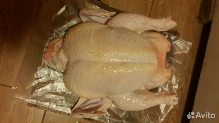 Цыплята бройлеры