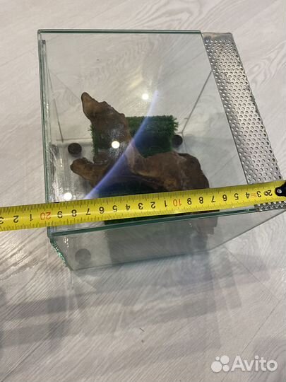 Аквариум/террариум для черепахи 20х20х20