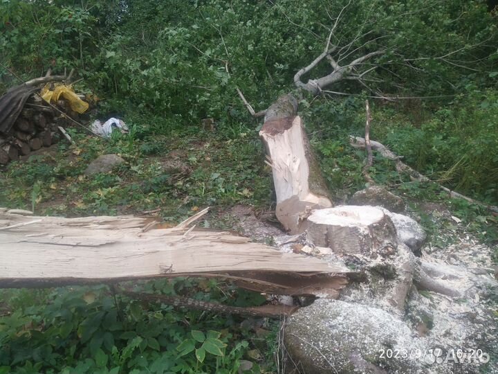 Бесплатно дрова
