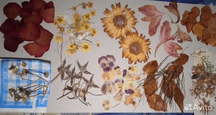 Аксессуары из природных материалов и сухоцветы для